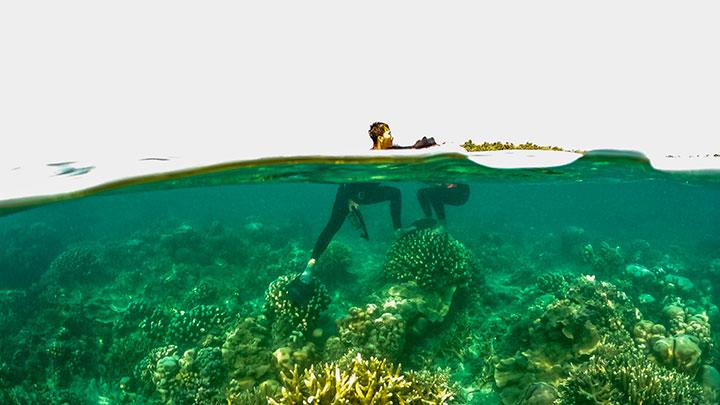 Rekomendasi 5 Wisata Alam di tempat area Pinggiran DKI Ibukota untuk Libur Nataru